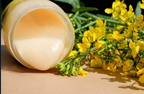 Rapeseed Honey